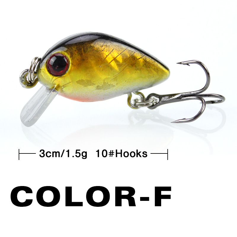 Fishing Lure Small Minnow Mini - مراجعة Fishing Lure Making Kit وسعره