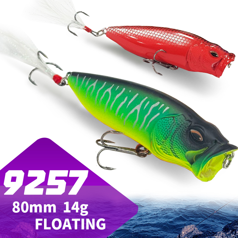 Popper Lure Topwater Bait 80mm - مراجعة Fishing Lure Popper وسعره