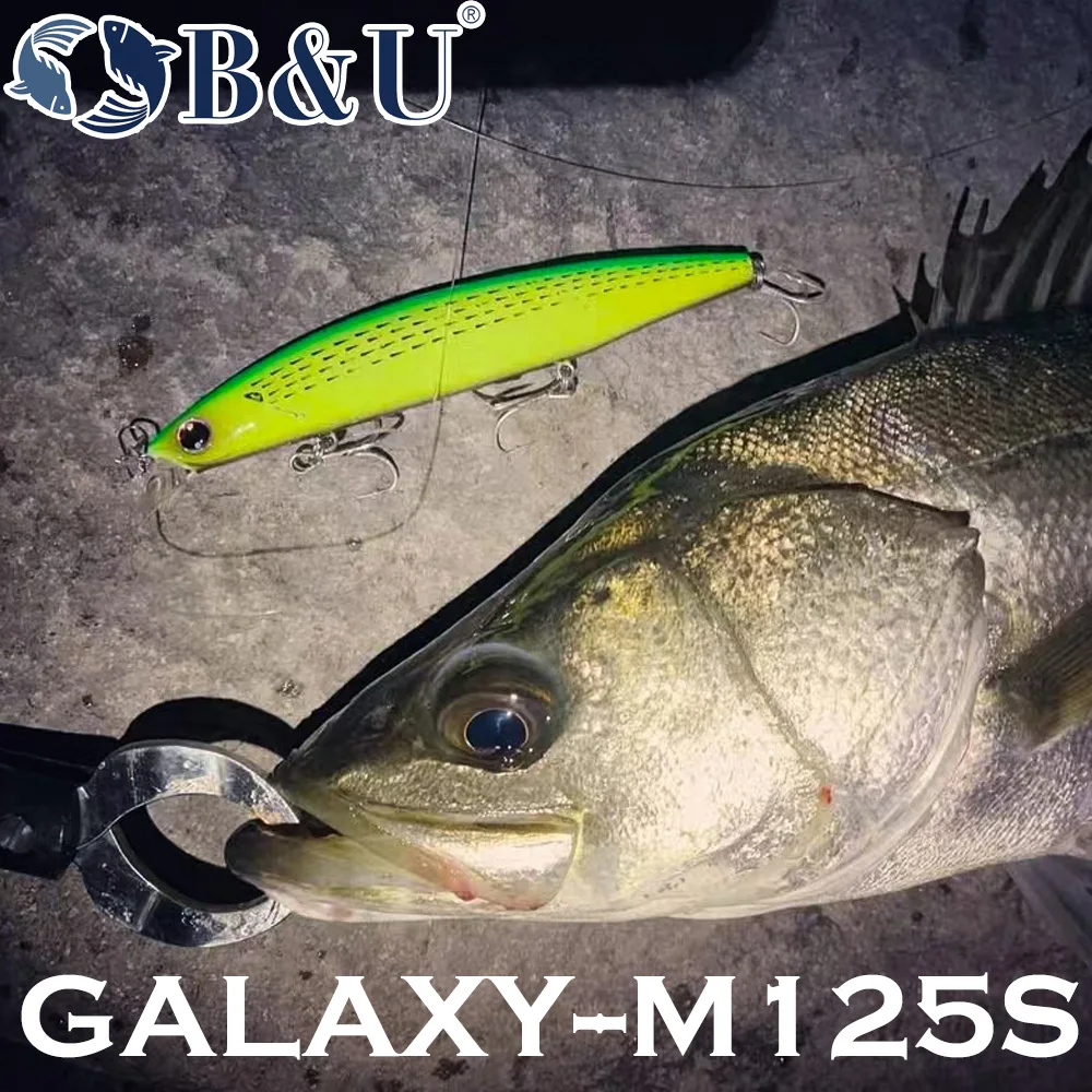 B&U 125mm Sinking Minnow Sea F - مراجعة Fishing Lure Jerkbait وسعره